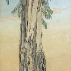 Indra Dugar