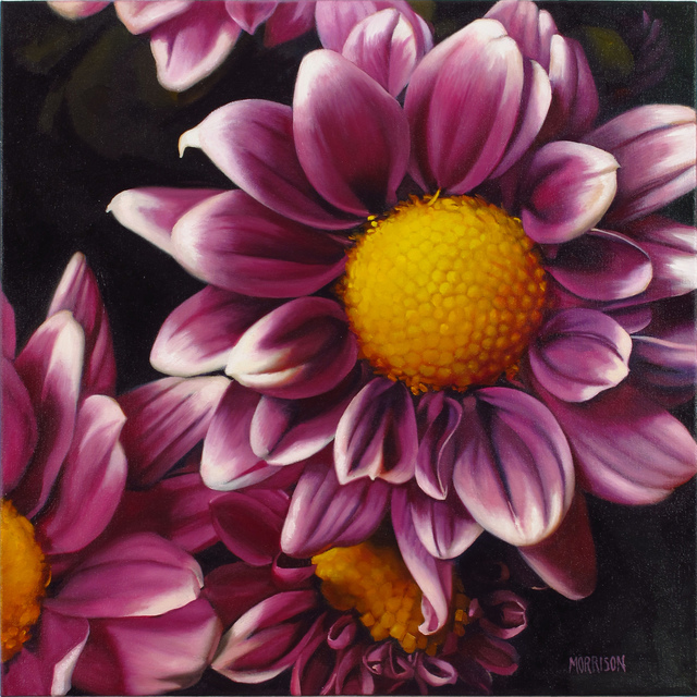 Margaret Morrison, ‘Daisy Pom’, 2014, Woodward Gallery