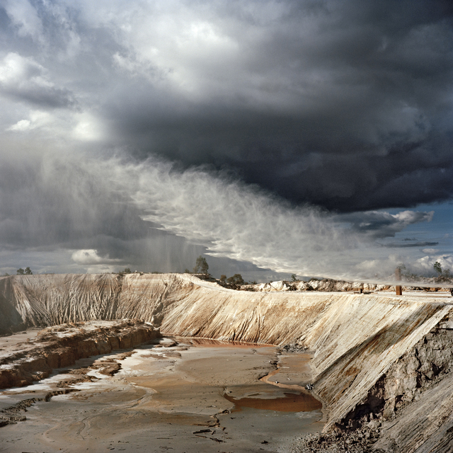 Jason Larkin, ‘PRESSURISED WATER, Krugersdorp, Johannesburg’, 2013, Flowers