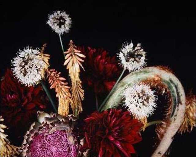 Nobuyoshi Araki, ‘Untitled, from the series »Flowers & Jamorinsky«’, 2005-2006, Ostlicht. Gallery for Photography