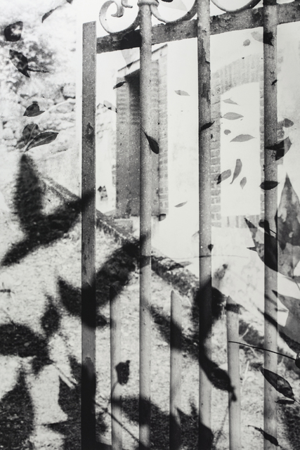 Muriel Hasbun, ‘¿Sólo una sombra?/ Only a Shadow? (The Gate III)’, 1995, Photography, Selenium toned gelatin silver print on Forte Polywarm Semi-matte, RoFa Projects