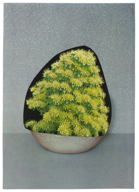Ruth van Beek, ‘Untitled (The Arrangement)’, 2012, Flowers