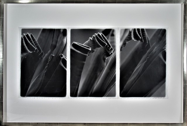 Carol Marino, ‘Ribbons’, 1998, Photography, Gelatin silver print, Joseph Grossman Fine Art Gallery