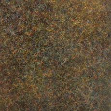 David Nelson