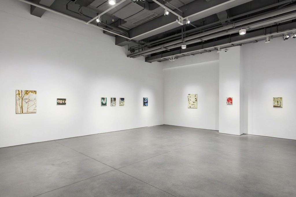 Installation View, Han Jiaquan Solo Exhibition | Ornaments, 2018, ARARIO GALLERY, Shanghai Installation View, Han Jiaquan Solo Exhibition | Ornaments, 2018, ARARIO GALLERY, Shanghai