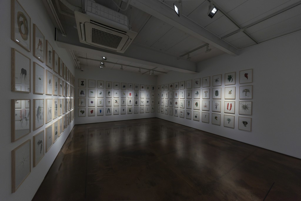 Installation view of Botanimal Garden, ARARIO GALLERY, Seoul, Korea Installation view of Botanimal Garden, ARARIO GALLERY, Seoul, Korea