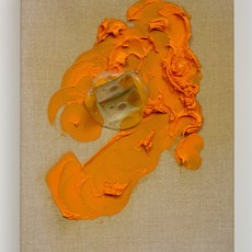 Judy Darragh