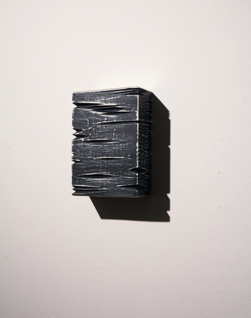Masayuki Tsubota, ‘the wall of self_inddks2’, 2015, Gallery LVS