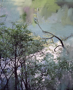 Sandra Kantanen, ‘Untitled (Lake 7)’, 2011, Purdy Hicks Gallery