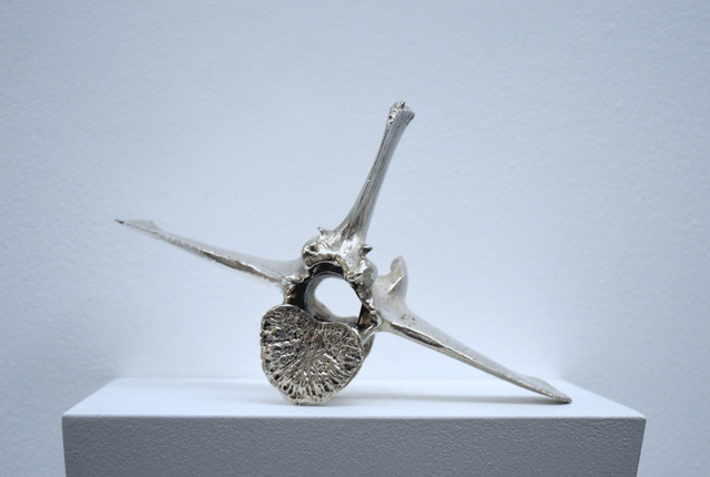 Amy Stephens, ‘Wapiti’, 2015, William Benington Gallery