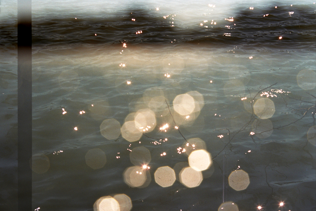 Leah Oates, ‘Transitory Space, Prospect Park, Brooklyn, Natural Dots # 3’, 2012-2014, Susan Eley Fine Art