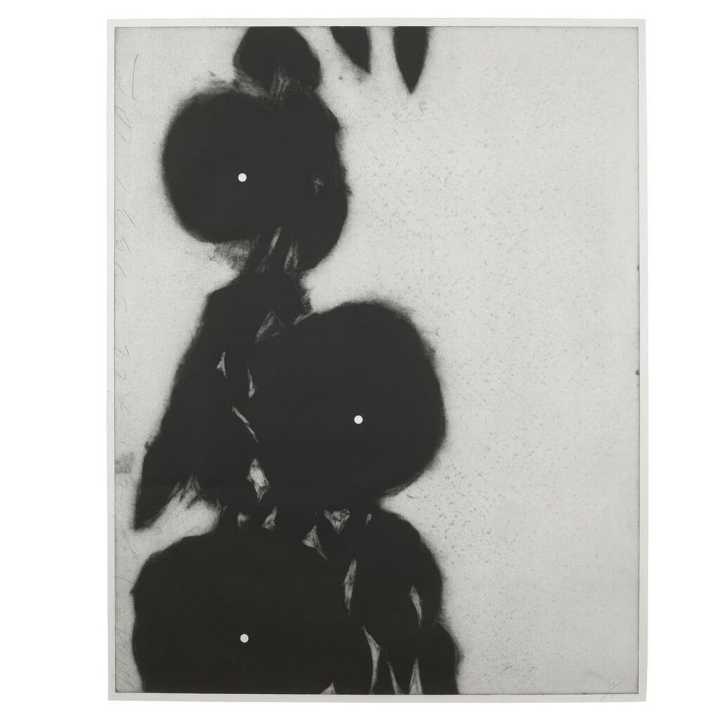 Donald Sultan - Pomegranates; Morning Glories I