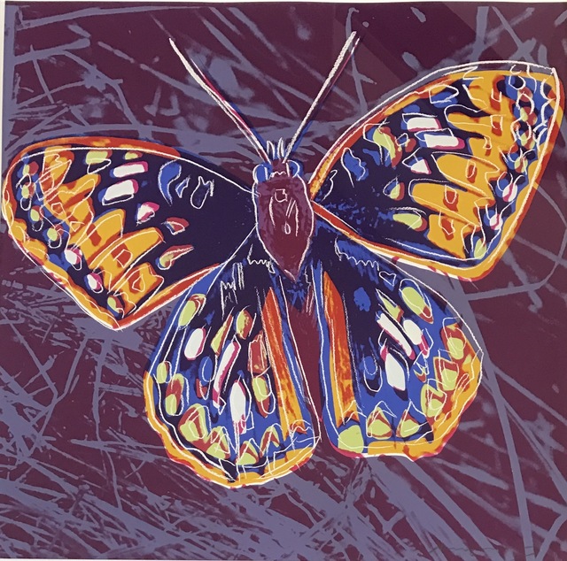Andy Warhol, ‘San Francisco Silverspot, Endangered Species F&S II.298’, 1983, Fine Art Mia