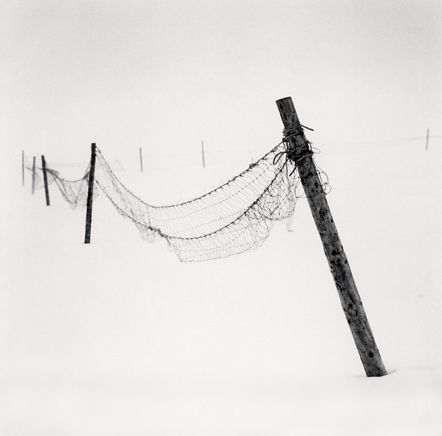 Michael Kenna, ‘Inclined Posts, Lake Akan, Hokkaido, Japan’, 2015, Photography, Toned gelatin silver print, G. Gibson Gallery