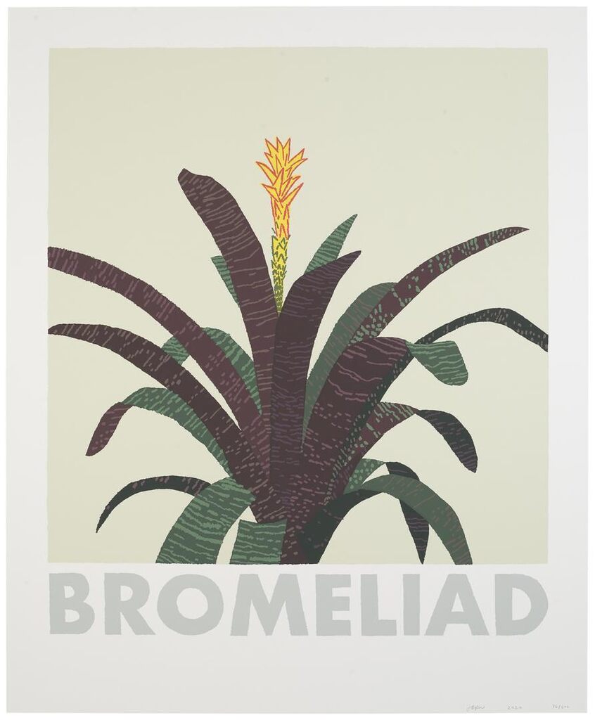 Jonas Wood - Bromeliad