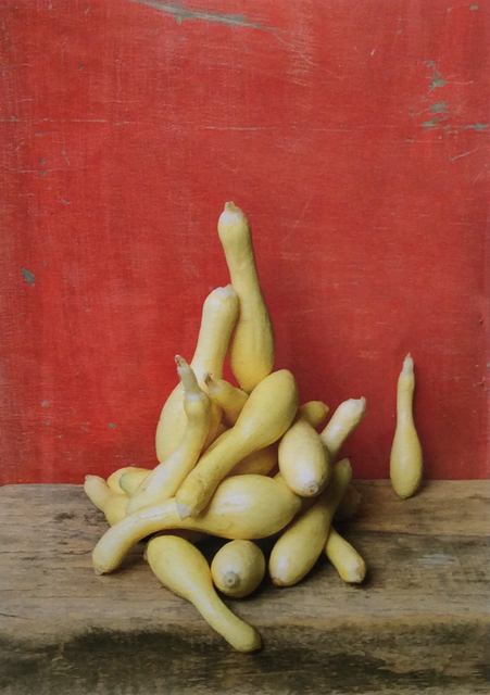 David Halliday, ‘Yellow Squash’, 2007, Carrie Haddad Gallery