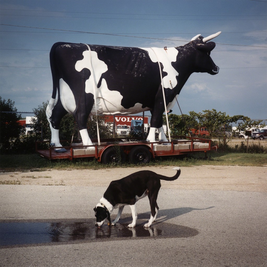 Httpswwwartsynetartworkstefanie Schneider In The Range