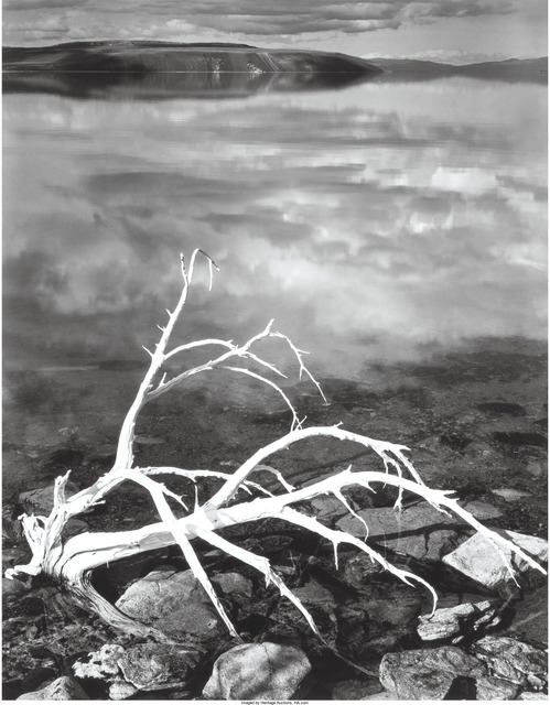 Ansel Adams, ‘White Branches, Mono Lake, California’, 1950, Heritage Auctions