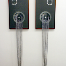 Sanell Aggenbach