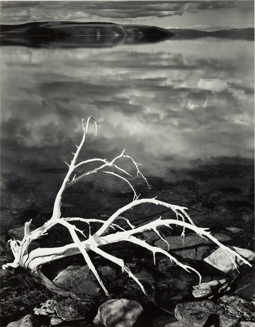 Ansel Adams, ‘White Branches, Mono Lake, California’, 1950, Photography, Silver print, Robert Mann Gallery
