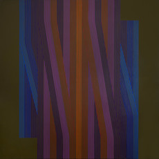Ary Brizzi