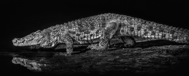 David Yarrow, ‘10 000 B.C.’, 2019, Fineart Oslo