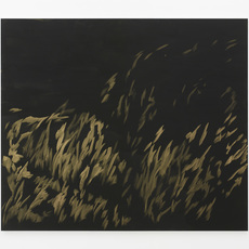 Evi Vingerling
