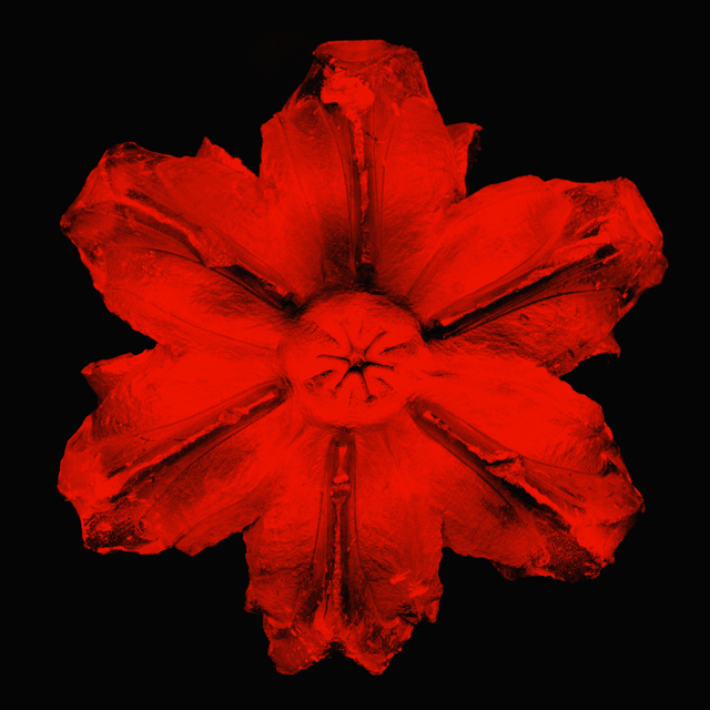Rubem Robierb, ‘Power Flower N-1 (Red on Black)’, 2016, Mixed Media, Hand-painted silkscreen on canvas, Taglialatella Galleries