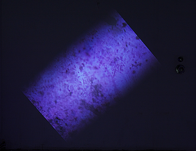 Tatiana Echeverri Fernandez, ‘-optical wrecking-’, Gallery Weekend Berlin