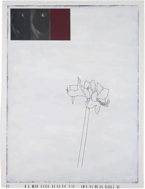 Julião Sarmento, ‘“Woman, Plant, Bordeaux and White”’, 2008-2009, Drawing, Collage or other Work on Paper, Aqueous enamel, collage and graphite on paper, Cristina Guerra Contemporary Art