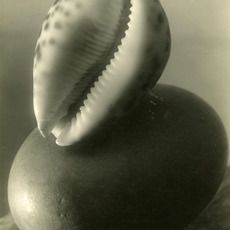 Josef Sudek