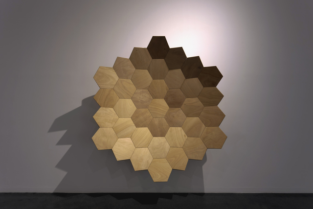 Carlos Nicanor, ‘Aeonium lignum’, 2015, Galería Artizar