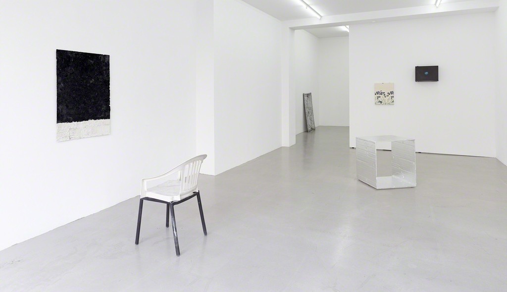 installation view "Birds, Plants and a Chair", Kadel Willborn, Düsseldorf, Germany, 2015 installation view "Birds, Plants and a Chair", Kadel Willborn, Düsseldorf, Germany, 2015