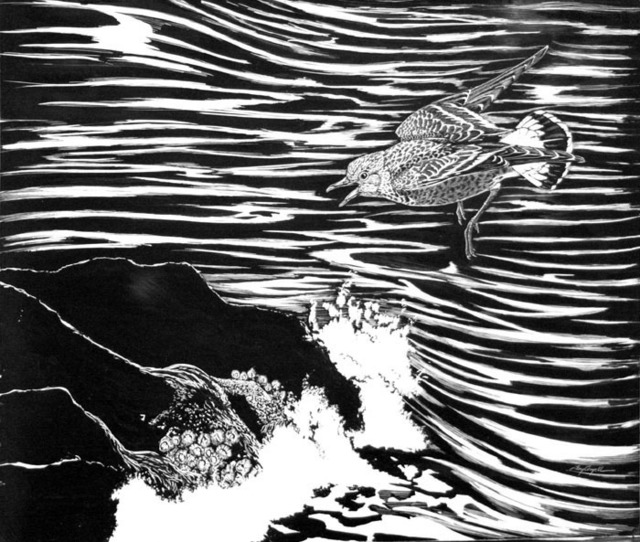 Tony Angell, ‘Surfbird’, 1982, Foster/White Gallery
