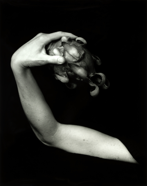 Dale M. Reid, ‘Dragon Fruit ’, 2019, Photography, Silver gelatin, JL Phillips Gallery