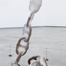 Liang Shaoji
