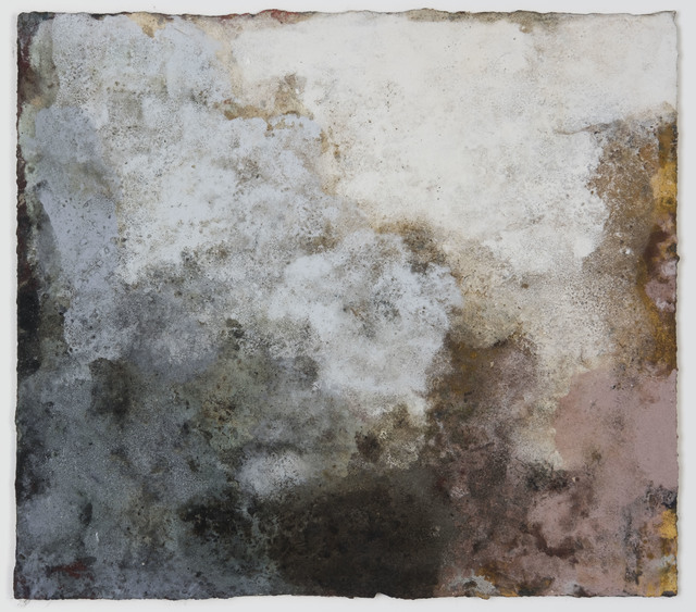 , 'Terra Bruciata #5,' 2017, Court Tree Collective