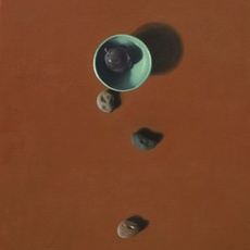 David Gleeson