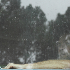 Jared Buckhiester
