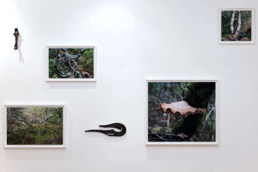 Installation view: Elaine Byrne, "La Diritta Via" Installation view: Elaine Byrne, "La Diritta Via"
