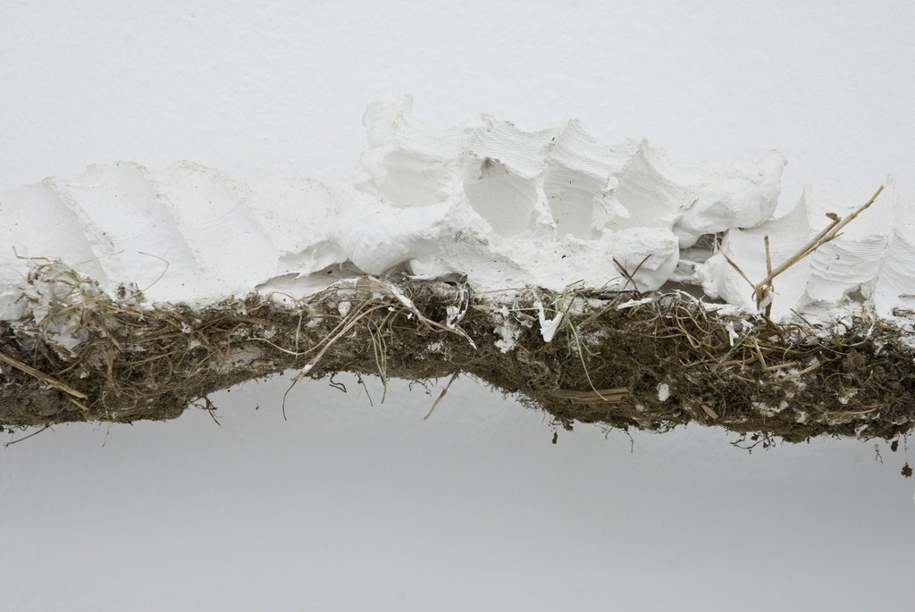 Björn Braun, Horizont I (in Zusammenarbeit mit einer Feldmaus), detail, 2011
Courtesy the artist and Meyer Riegger, Berlin/Karlsruhe Björn Braun, Horizont I (in Zusammenarbeit mit einer Feldmaus), detail, 2011
Courtesy the artist and Meyer Riegger, Berlin/Karlsruhe
