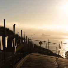 Janet Delaney, From Treasure Island (2022)