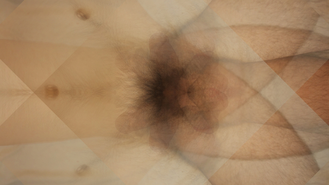 Faith Holland, ‘Tumescence’, 2017, Video/Film/Animation, Animated GIF, TRANSFER