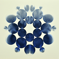 Nick May