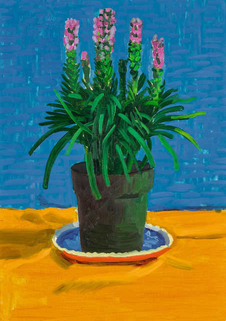 David Hockney, ‘Plant on Yellow Cloth’, 1995, Sotheby's: Contemporary Art Day Auction
