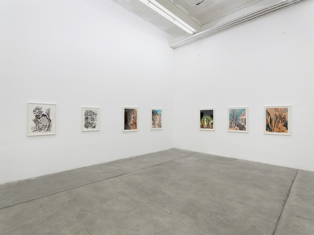 installation view installation view