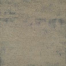 Jennifer Guidi
