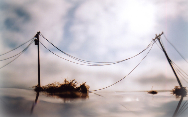 Vanessa Marsh, ‘Telephone Poles’, Julie Nester Gallery