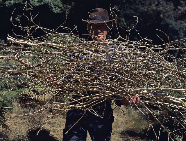 Thierry Fontaine, ‘La récolte’, 2015, Galerie Les filles du calvaire