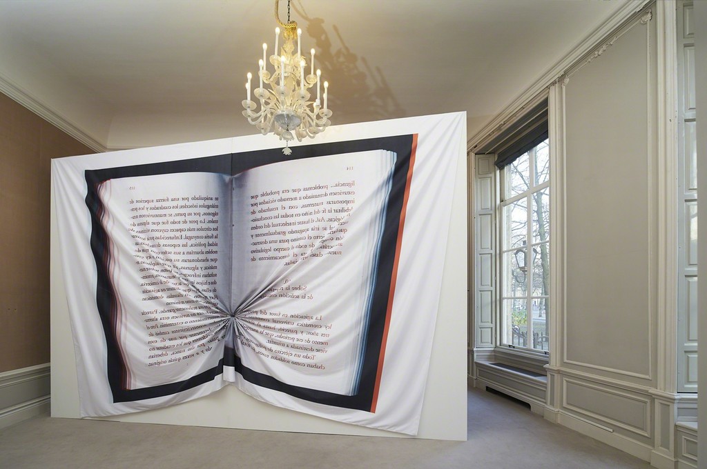 Gabriel Kuri. Flat hole, 2012. Digital print on fabric, wall. 400 x 600 x 27 cm
Gabriel Kuri. Flat hole, 2012. Digital print on fabric, wall. 400 x 600 x 27 cm